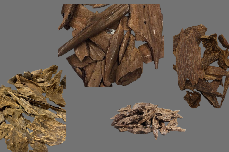 Indonesian Oud: Its Rich History, Cultural Significance, and Diverse Types