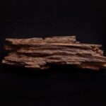 Oud